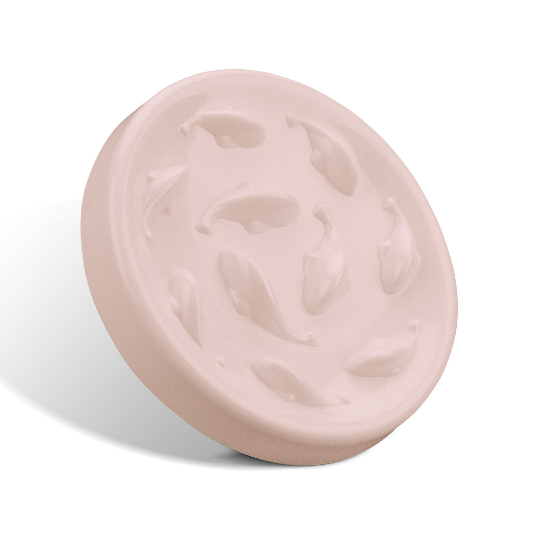 Slow Feeding Bowl for Dogs & Cats