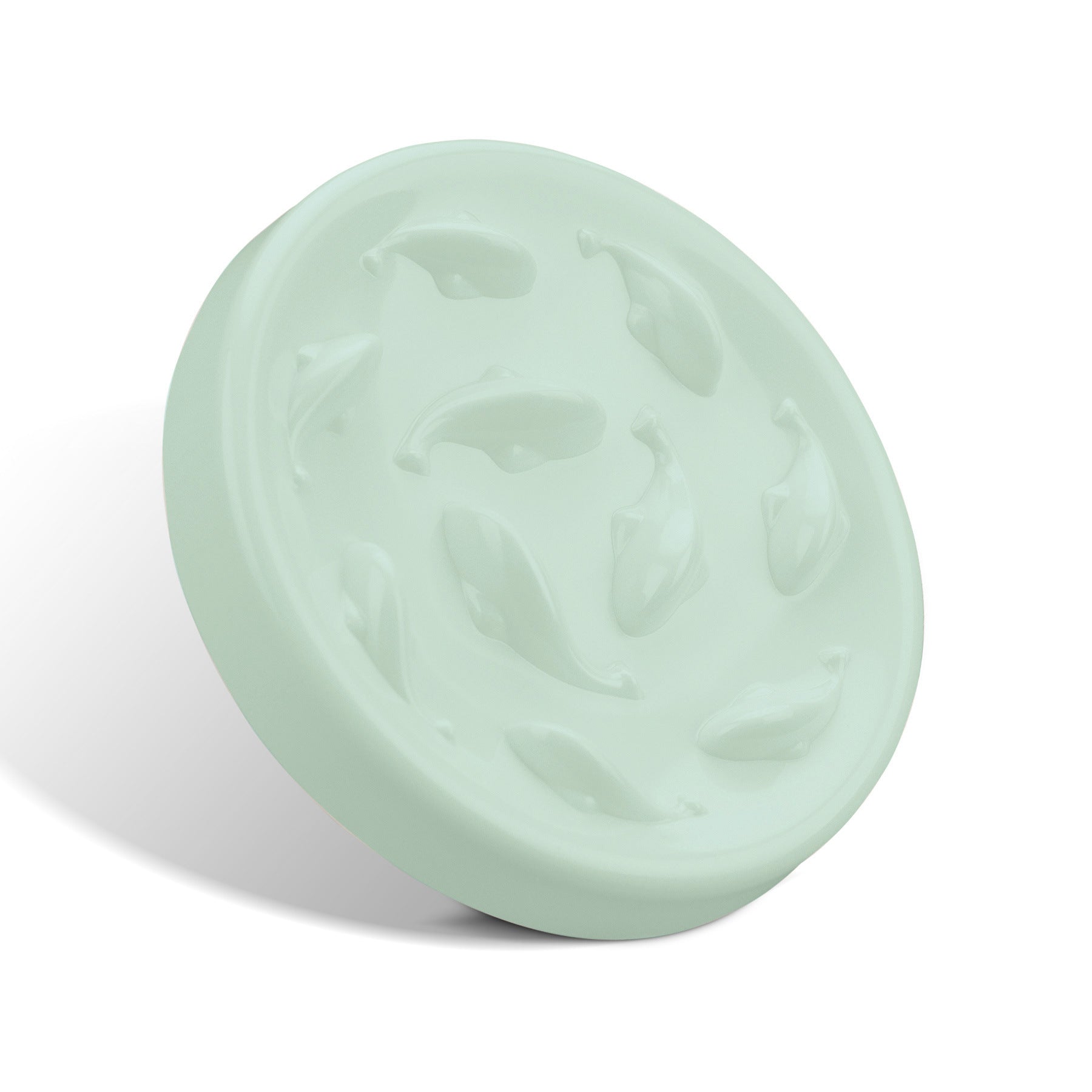 Slow Feeding Bowl for Dogs & Cats