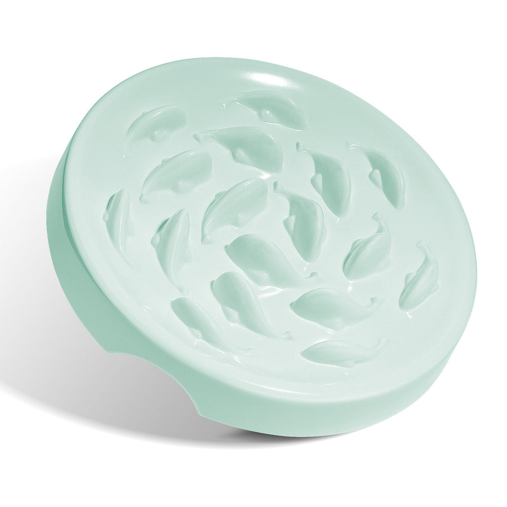 Slow Feeding Bowl for Dogs & Cats