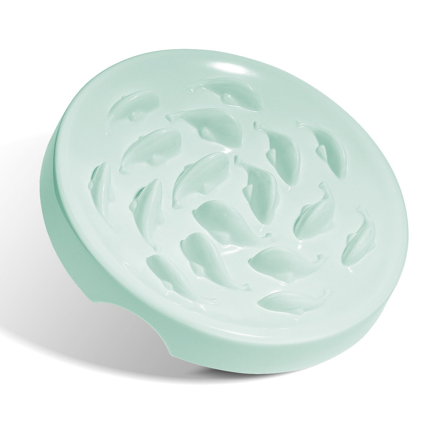 Slow Feeding Bowl for Dogs & Cats