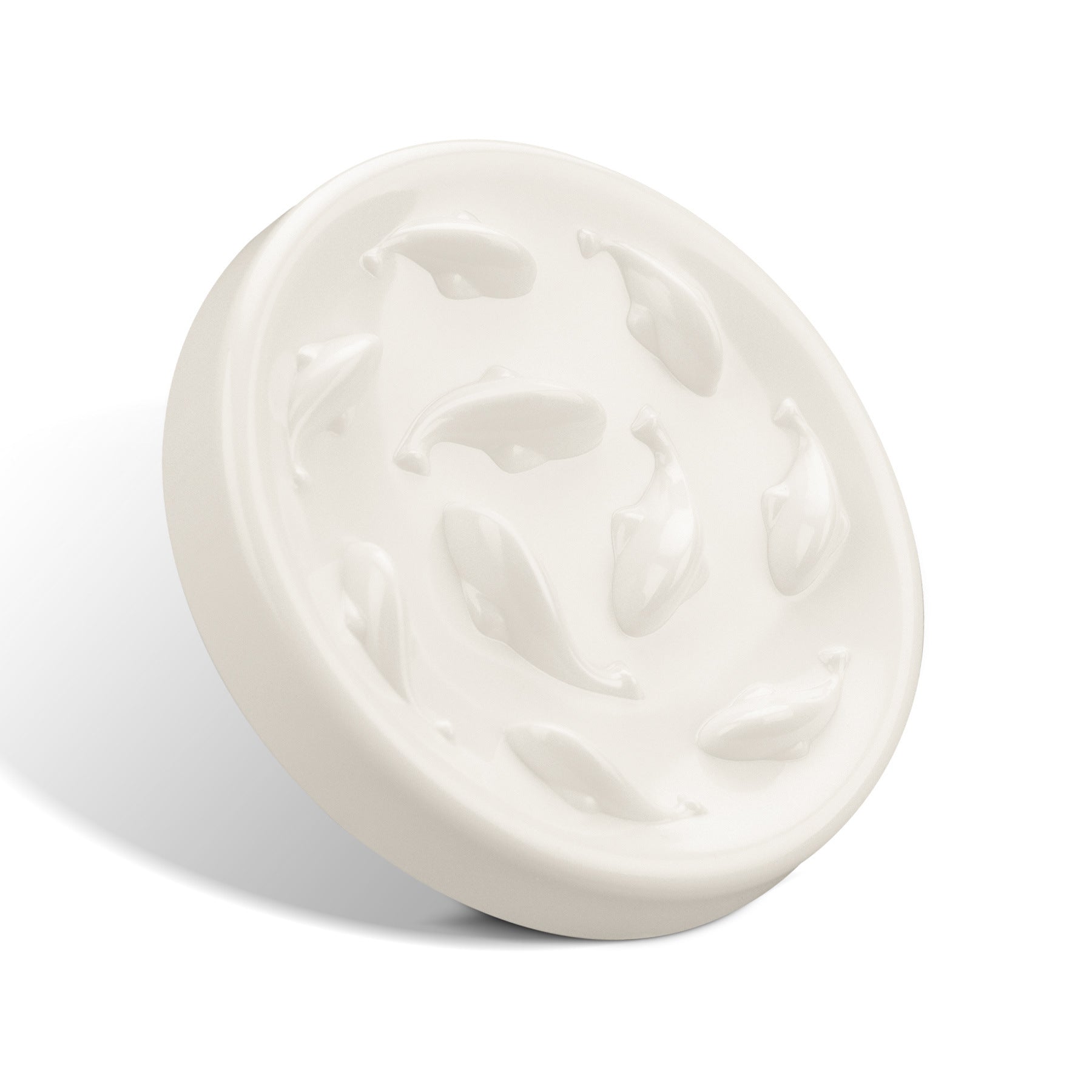 Slow Feeding Bowl for Dogs & Cats